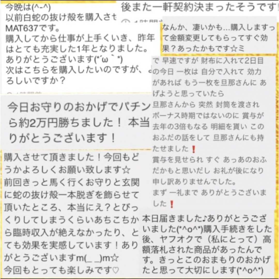 開運　蛇の抜け殻　お守り ハンドメイドのハンドメイド その他(その他)の商品写真