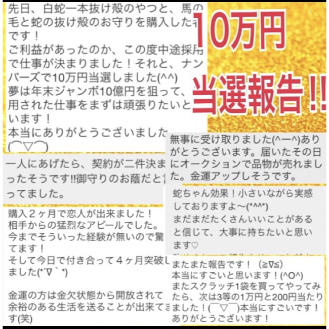 開運　蛇の抜け殻　お守り ハンドメイドのハンドメイド その他(その他)の商品写真