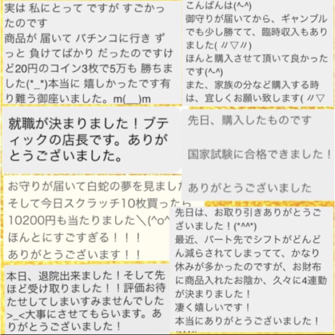 開運　蛇の抜け殻　お守り ハンドメイドのハンドメイド その他(その他)の商品写真