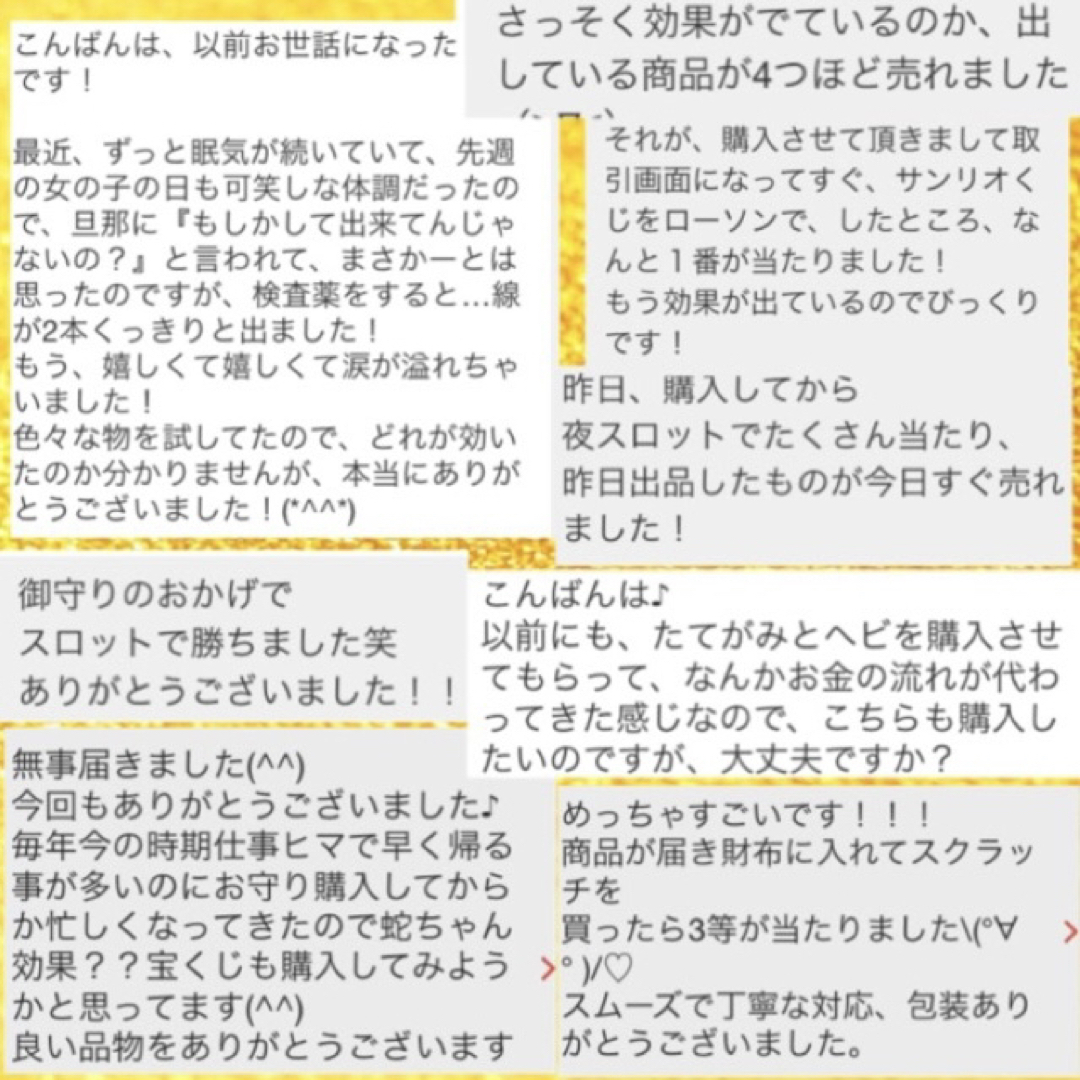 開運　蛇の抜け殻　お守り　台紙あり ハンドメイドのハンドメイド その他(その他)の商品写真