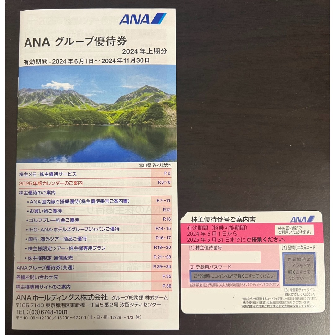 ANA(全日本空輸)(エーエヌエー(ゼンニッポンクウユ))のANA 株主優待券 1枚 有効期限 2025.05.31 チケットの乗車券/交通券(航空券)の商品写真