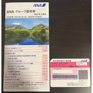 エーエヌエー(ゼンニッポンクウユ)(ANA(全日本空輸))のANA 株主優待券 1枚 有効期限 2025.05.31(航空券)