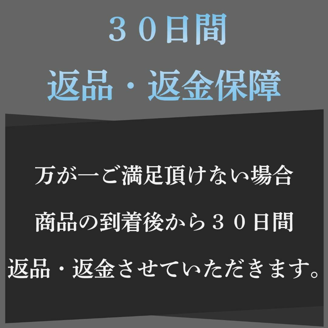 [ゴートレイド] 靴下 メンズ ビジネスソックス 抗菌防臭 10足セット 25- メンズのファッション小物(その他)の商品写真