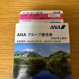 ANA(全日本空輸) - ANA 株主優待　1枚