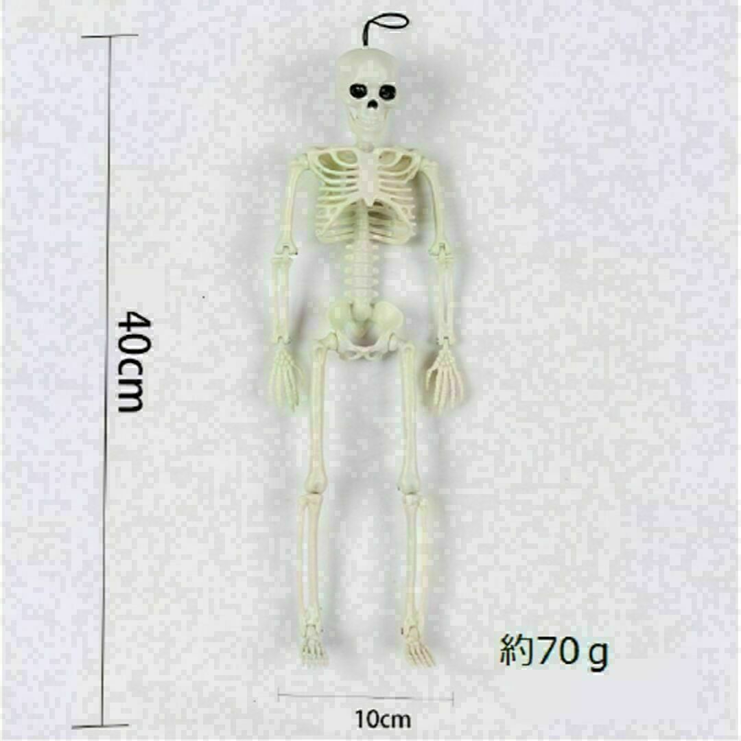 【匿ガイコツ 骸骨 フィギュア オブジェ デッサン 模型 インテリア ハロウィン エンタメ/ホビーのフィギュア(その他)の商品写真