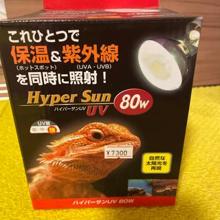 ビバリア ハイパーサンUV 80W RP-263(1コ入)(爬虫類/両生類用品)