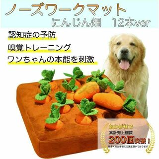  ノーズワーク 犬 おもちゃ にんじん 知育トイ　マット　ペット A1>  >>(犬)