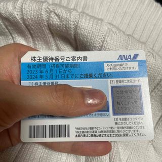 ANA株主優待(航空券)