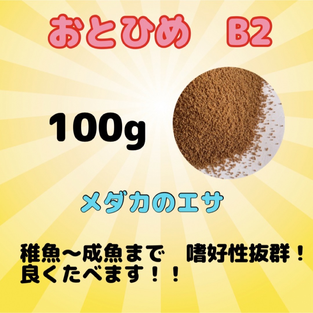 おとひめB2 メダカのエサ　100g その他のペット用品(アクアリウム)の商品写真