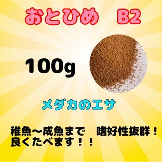 おとひめB2 メダカのエサ　100g