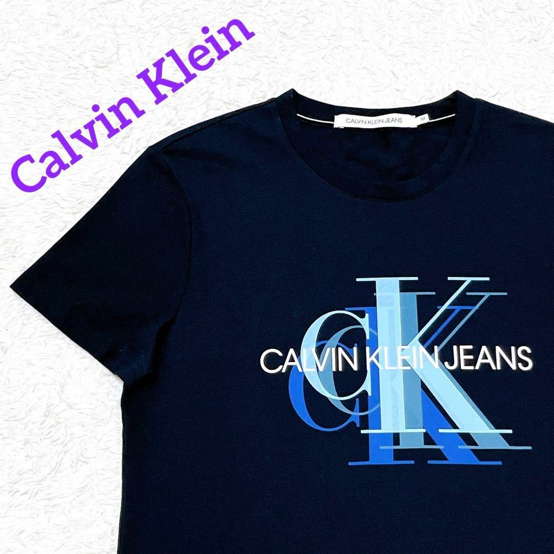 Calvin Klein(カルバンクライン)の極美品✨Calvin Klein　ロゴプリントTシャツ　半袖　ブラック　M メンズのトップス(Tシャツ/カットソー(半袖/袖なし))の商品写真