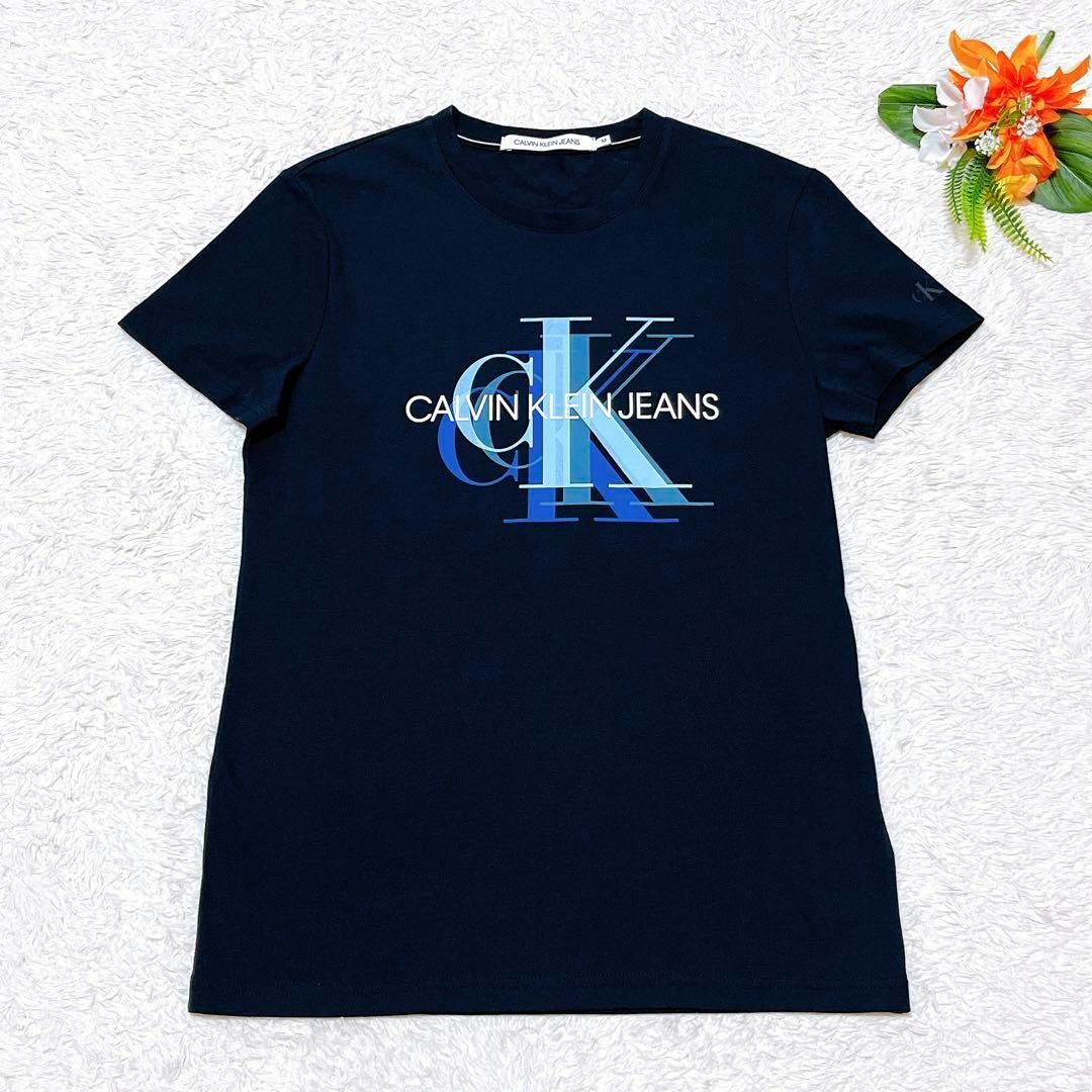 Calvin Klein(カルバンクライン)の極美品✨Calvin Klein　ロゴプリントTシャツ　半袖　ブラック　M メンズのトップス(Tシャツ/カットソー(半袖/袖なし))の商品写真