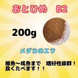 おとひめB2 メダカのエサ　200g(アクアリウム)