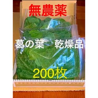 葛の葉　乾燥品　無農薬　200枚(小動物)