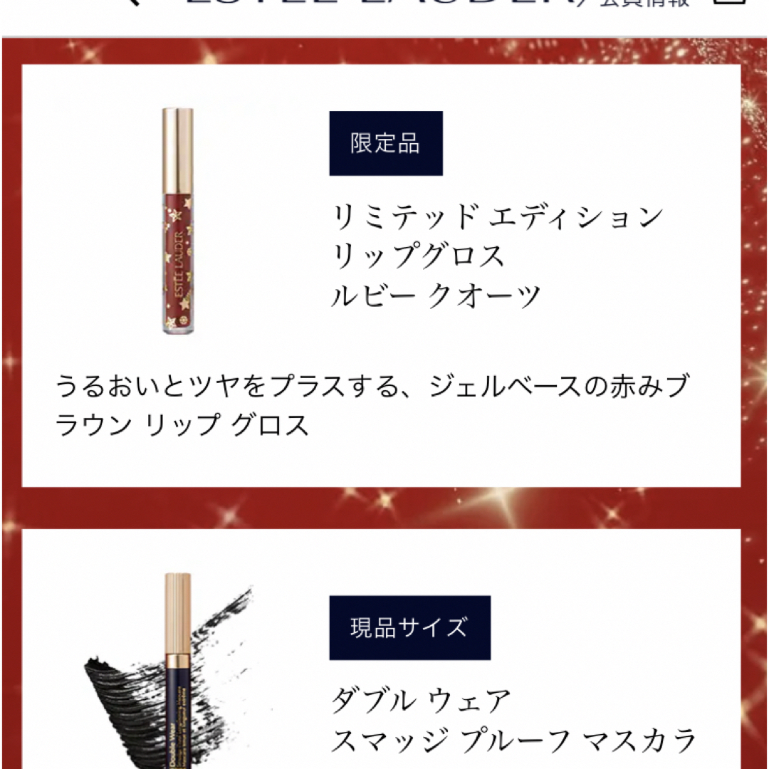 Estee Lauder(エスティローダー)のエスティーローダークリスマスコフレ 2023 リップグロス2本 コスメ/美容のベースメイク/化粧品(リップグロス)の商品写真