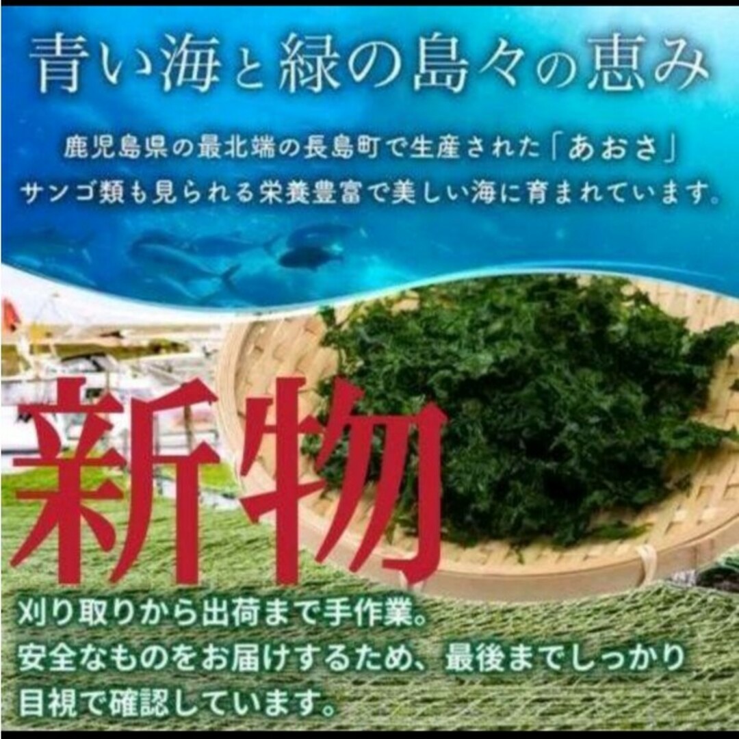 4月22日収穫終了 鹿児島県長島町産 あおさ あおさのり 乾燥あおさ 食品/飲料/酒の食品(野菜)の商品写真