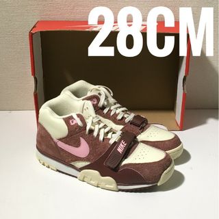 ナイキ(NIKE)の新品 28cm Nike Air Trainer 1 バレンタインデー(スニーカー)