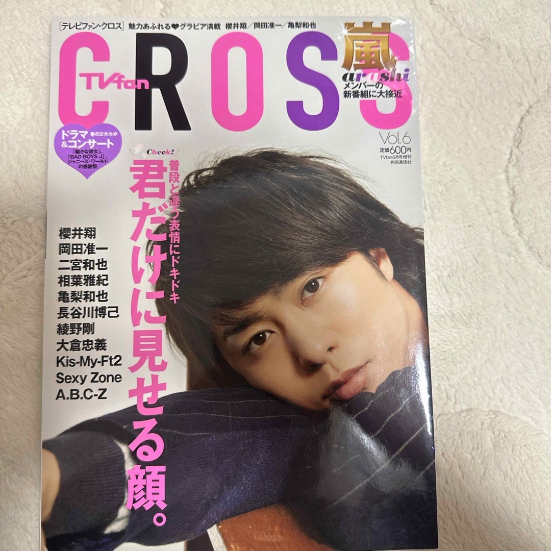 TVfan cross (テレビファン クロス) Vol.6 2013年 05月 エンタメ/ホビーの雑誌(その他)の商品写真