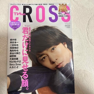 TVfan cross (テレビファン クロス) Vol.6 2013年 05月