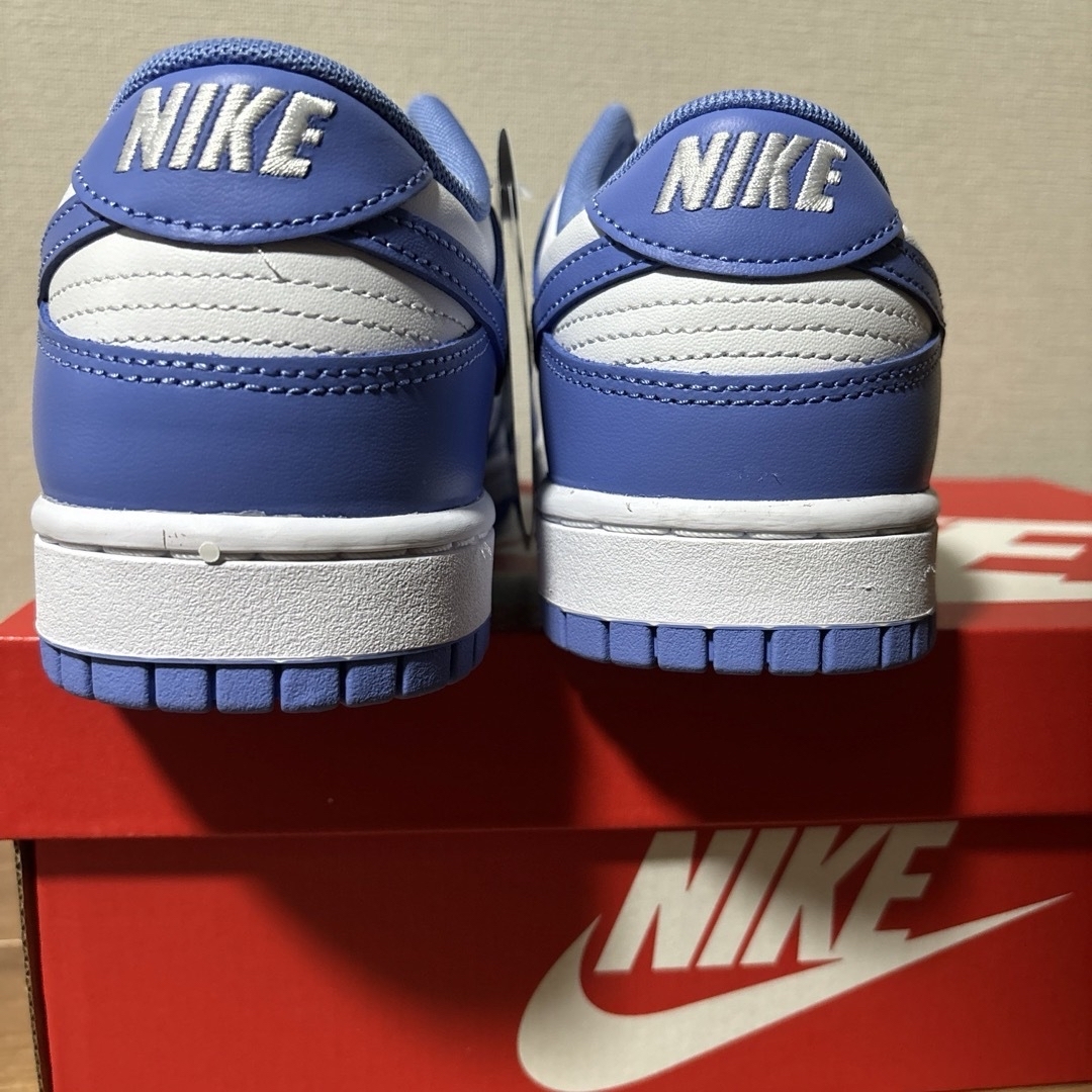 NIKE(ナイキ)の【28.0cm】Nike Dunk Low Retro Polar Blue メンズの靴/シューズ(スニーカー)の商品写真