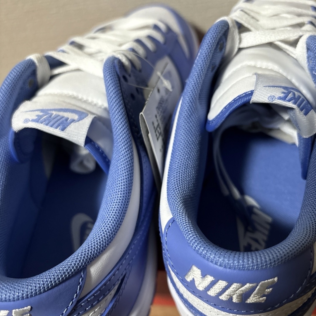 NIKE(ナイキ)の【28.0cm】Nike Dunk Low Retro Polar Blue メンズの靴/シューズ(スニーカー)の商品写真