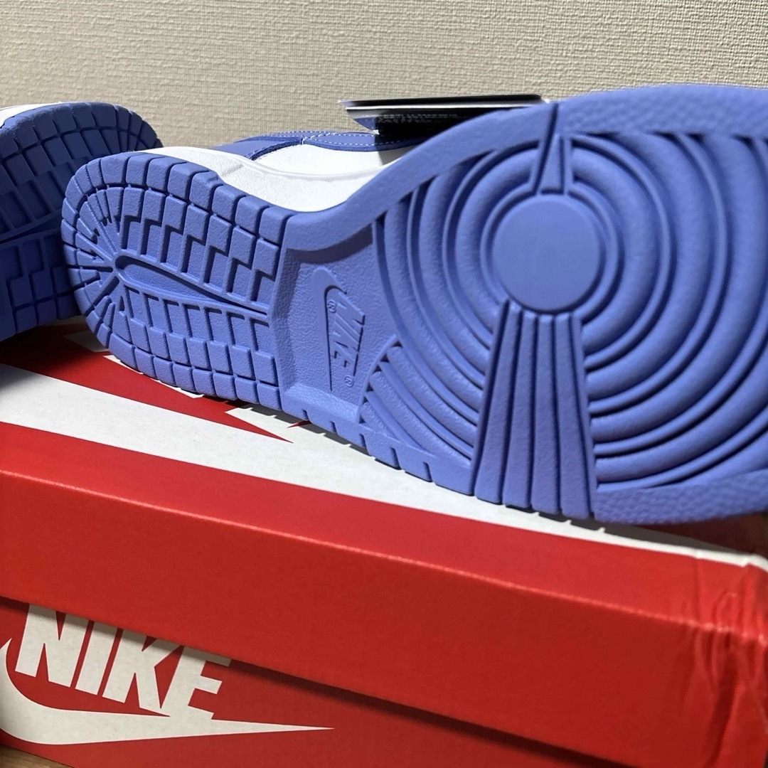 NIKE(ナイキ)の【28.0cm】Nike Dunk Low Retro Polar Blue メンズの靴/シューズ(スニーカー)の商品写真