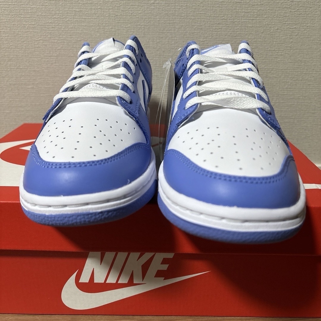 NIKE(ナイキ)の【28.0cm】Nike Dunk Low Retro Polar Blue メンズの靴/シューズ(スニーカー)の商品写真