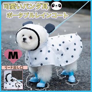 レインコート カッパ 小型犬 ドッグウェア パンダ耳 ドット柄 Mサイズ(犬)