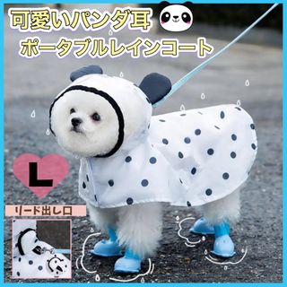 レインコート カッパ 小型犬 ドッグウェア パンダ耳 ドット柄 Lサイズ(犬)