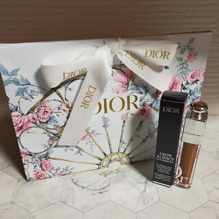 ディオール(Dior)のDior　マキシマイザー　049 ピュアコッパー  2023ホリデー限定品(リップグロス)