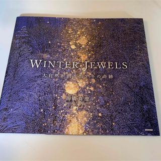 ＷＩＮＴＥＲ　ＪＥＷＥＬＳ　大自然が創り出す冬の奇跡(趣味/スポーツ/実用)