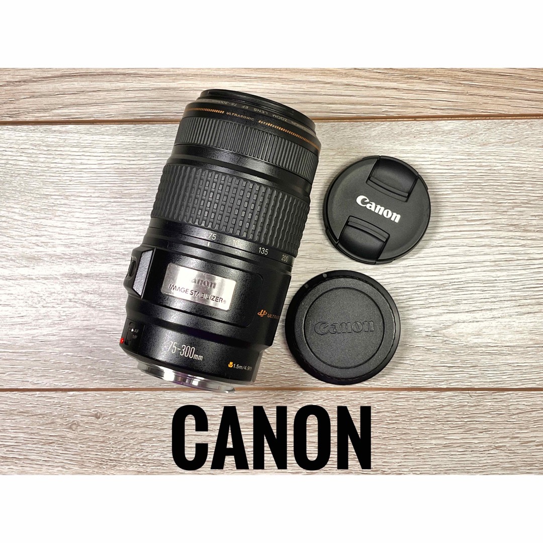 Canon(キヤノン)の✨安心保証✨CANON EF 75-300mm f/4-5.6 IS USM スマホ/家電/カメラのカメラ(レンズ(ズーム))の商品写真