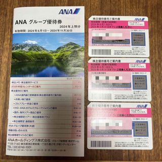 エーエヌエー(ゼンニッポンクウユ)(ANA(全日本空輸))のANA 株主優待　3枚(航空券)