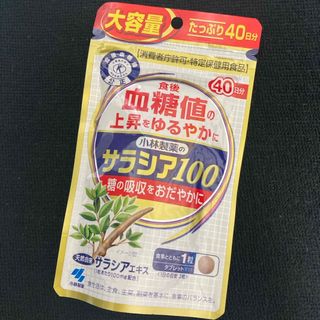 小林製薬 - [最終最安]小林製薬のサラシア100 大容量(120粒)