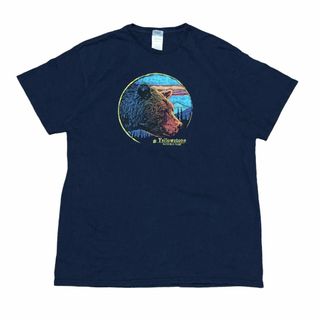 デルタ 半袖Tシャツ アニマル クマ イエローストーン国立公園 夏物古着y58(Tシャツ/カットソー(半袖/袖なし))