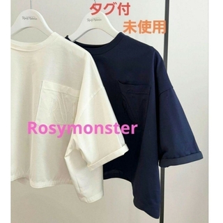 Rosymonster embroidery logo cropped tops(Tシャツ(半袖/袖なし))