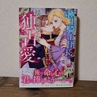 極上騎士団長の揺るぎない独占愛 3(その他)