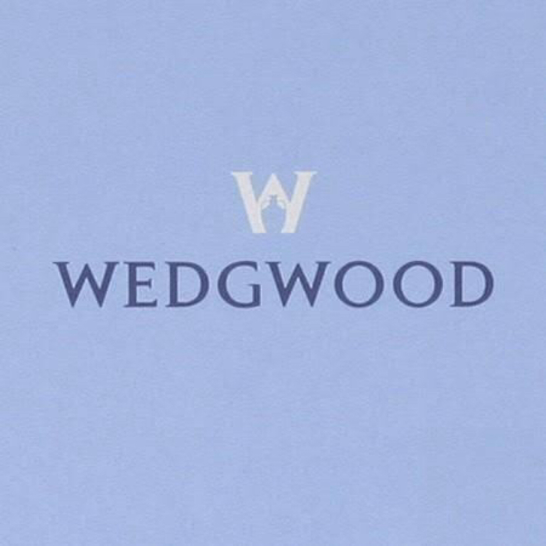 WEDGWOOD(ウェッジウッド)の新品未使用‼️WEDGWOODウェッジウッド 可愛い ランチョンマット 2枚‼️ インテリア/住まい/日用品のキッチン/食器(テーブル用品)の商品写真