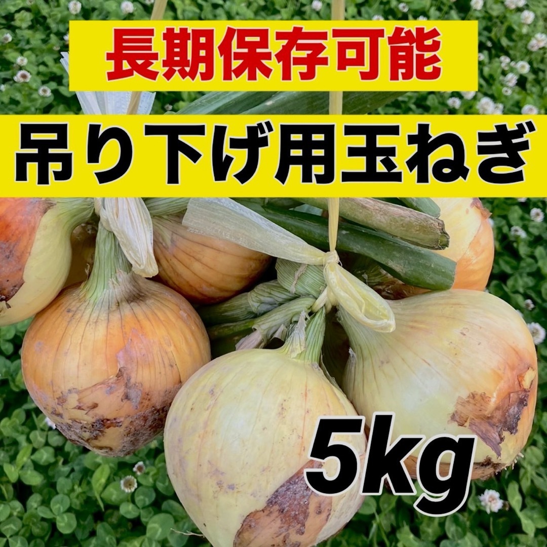 今年も販売‼️吊るして保存‼️玉ねぎ5キロ入‼️ 食品/飲料/酒の食品(野菜)の商品写真