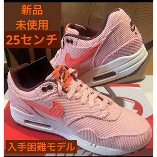 ナイキ(NIKE)のナイキ　エアマックス1プレミアム(スニーカー)