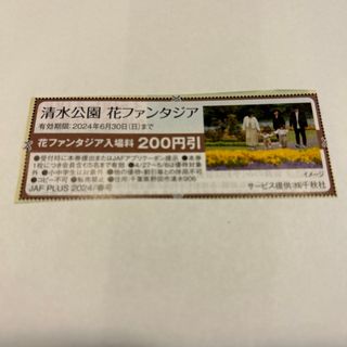 清水公園　花ファンタジア入場料割引券(その他)