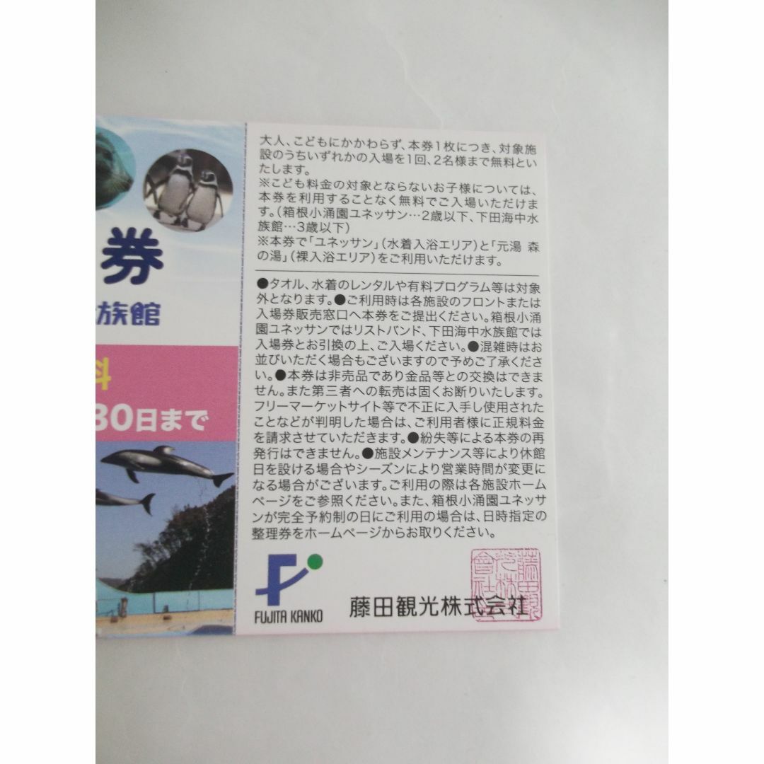 箱根小涌園ユネッサン・下田海中水族館 日帰り施設ご利用券　 チケットの優待券/割引券(その他)の商品写真