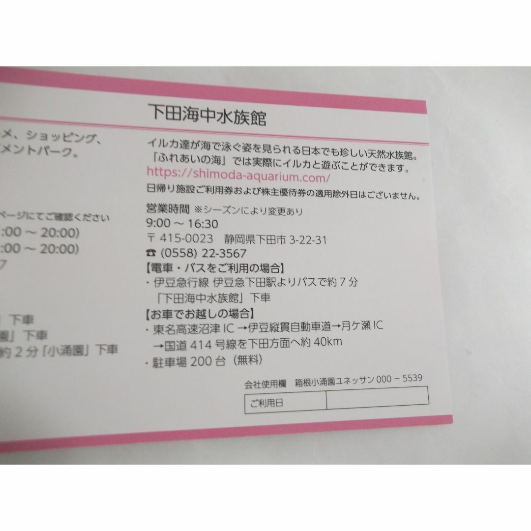 箱根小涌園ユネッサン・下田海中水族館 日帰り施設ご利用券　 チケットの優待券/割引券(その他)の商品写真