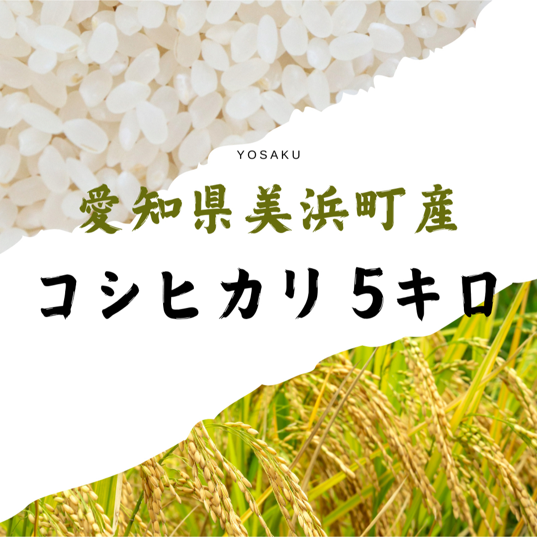 お米5キロ 愛知県美浜町産 コシヒカリ 食品/飲料/酒の食品(米/穀物)の商品写真