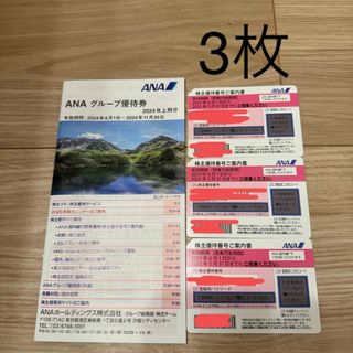 エーエヌエー(ゼンニッポンクウユ)(ANA(全日本空輸))のANA株主優待券(その他)