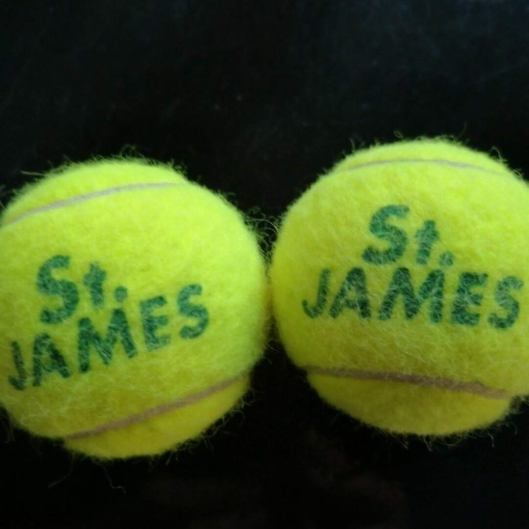 DUNLOP(ダンロップ)のテニスボール中古 ダンロップ STJamesx2 マッサージに!ペットに!#C2 スポーツ/アウトドアのテニス(ボール)の商品写真