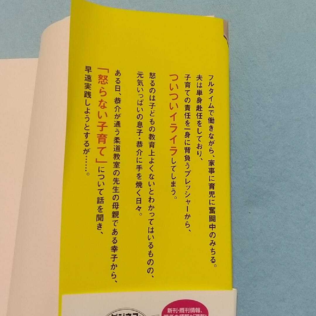 【中古本】怒らない子育て エンタメ/ホビーの本(住まい/暮らし/子育て)の商品写真