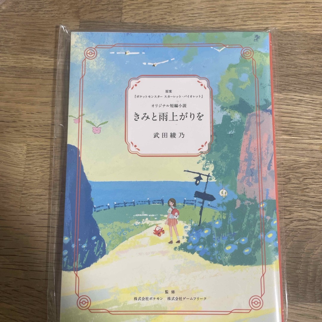 10冊セット　きみと雨上がりを　武田綾乃　ポケモン エンタメ/ホビーのトレーディングカード(その他)の商品写真