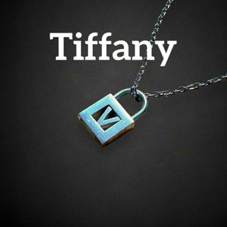 ティファニー(Tiffany & Co.)の✨希少✨　ティファニー　アルファベット　V カデナ　ネックレス　aq43(ネックレス)