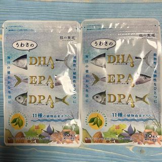 祖の食庵　うわさのDHA EPA DPA 30粒入り×2袋セット(その他)